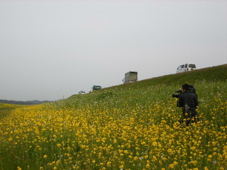 f0043559_22372995.jpg