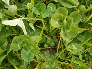 f0043559_22373734.jpg