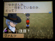 ゆきの牧場物語 キミ島プレイ日記 ゆきの牧場物語 キミ島プレイ日記