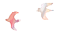 f0070275_23391942.gif