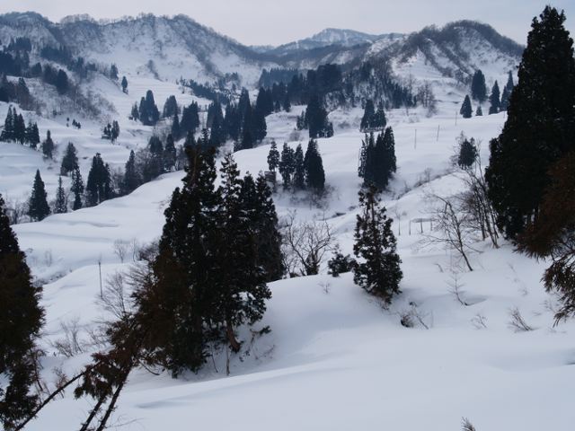 a0025576_22234363.jpg