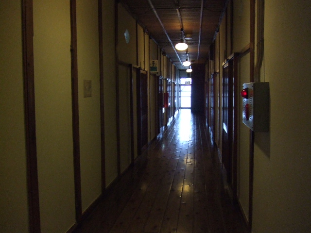e0050801_1611539.jpg