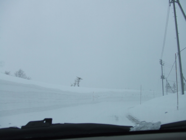 e0050801_1713614.jpg