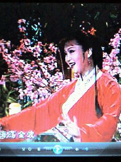 カラオケ戯曲VCD『中国地方戯曲名段』_d0095406_22194540.jpg