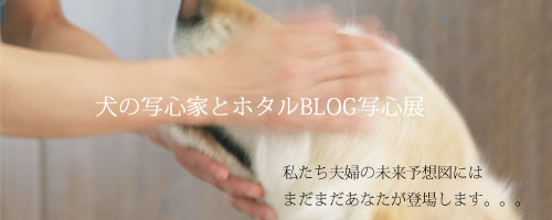 犬の写心家とホタルBLOG　写心展_e0105809_9151724.jpg