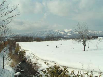 a0094336_8564498.jpg