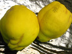 マルメロの実 Quince Nagomi No Jikan マルメロの実 Quince Nagomi No Jikan