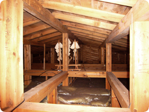 f0084138_2203243.jpg