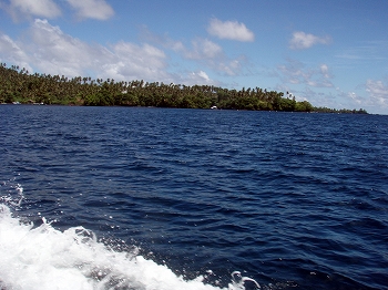 19/Feb/07 Lembeh_e0090153_15531169.jpg