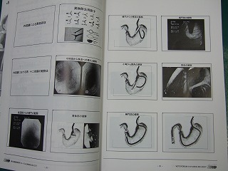 日本臨床獣医フォーラム_b0059154_13593753.jpg