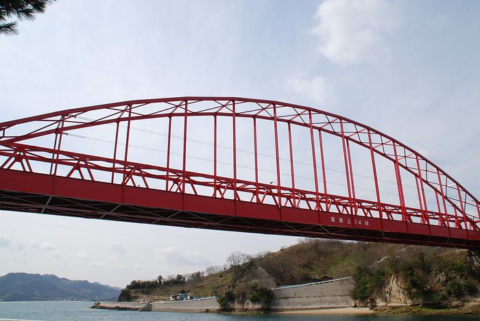 e0053660_8145032.jpg