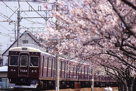 d0083265_17101774.jpg