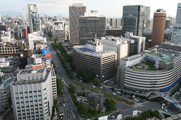 d0083265_1746530.jpg