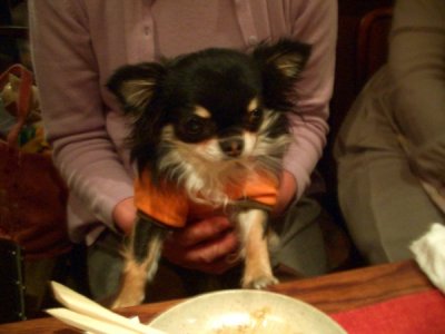 夜オフ会_d0006467_23315587.jpg