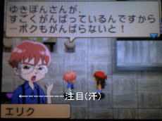 ゆきの牧場物語 キミ島プレイ日記 ゆきの牧場物語 キミ島プレイ日記