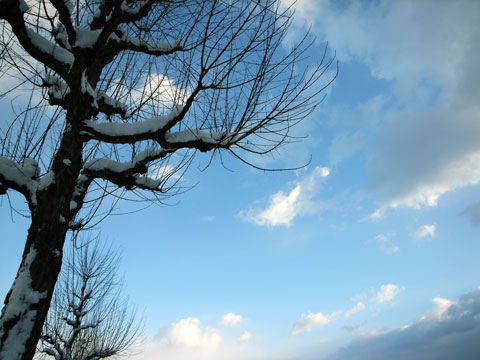 b0072176_8351443.jpg