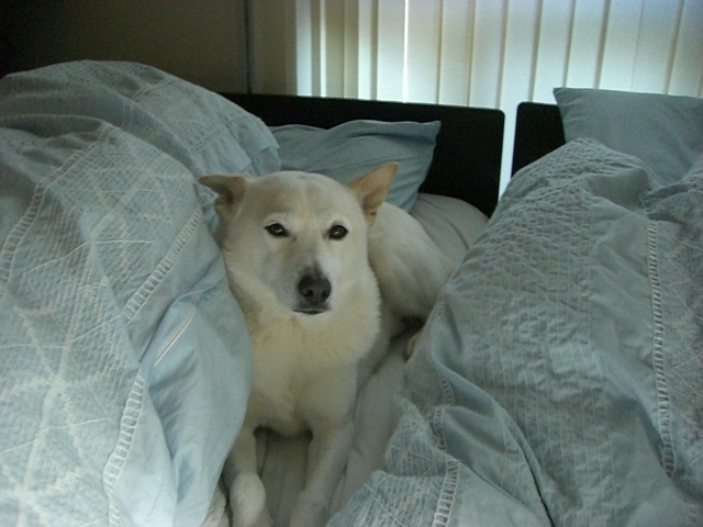 f0106884_07429.jpg