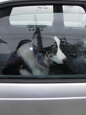 f0034602_9165115.jpg