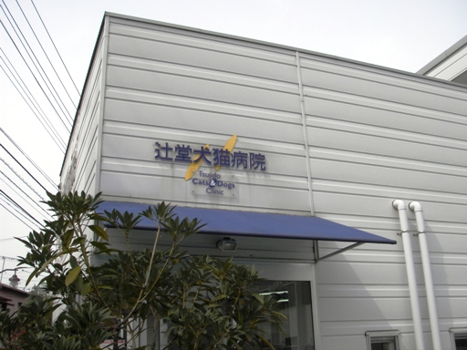 f0034602_918610.jpg