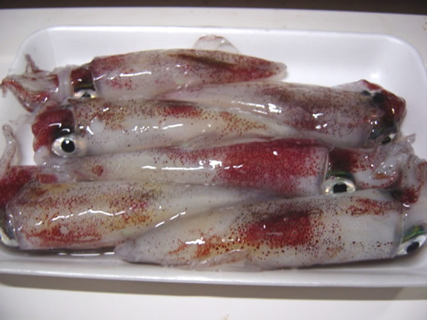 赤イカの詰め物フライ 三重県 紀北町から発信 お料理ブログ きいながしま おかずの店