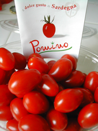 イタリアのトマト Piccolo Vagabondo イタリアのトマト Piccolo Vagabondo