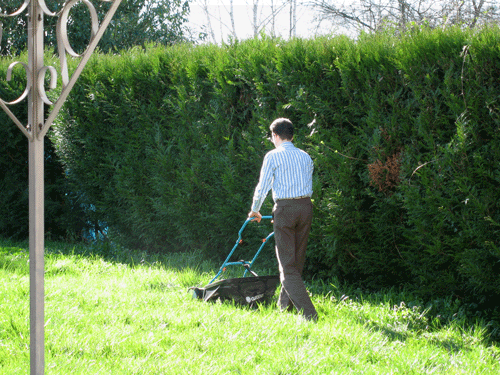 f0115322_816140.gif