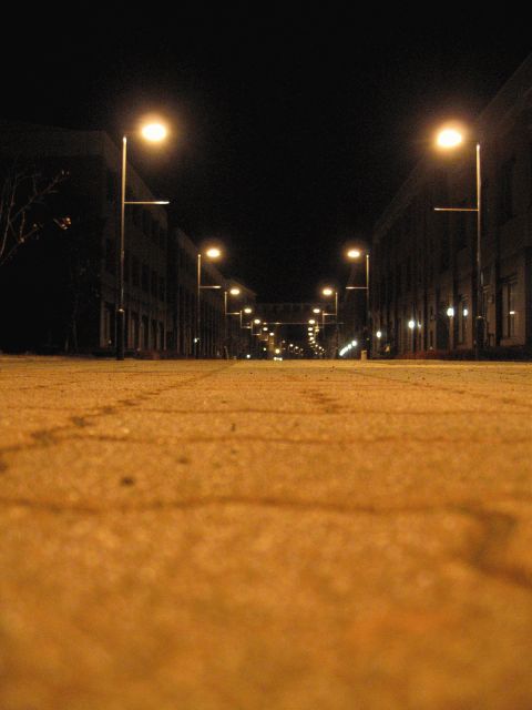 f0048630_21297.jpg
