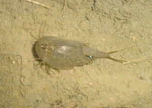 a0079948_14545825.jpg