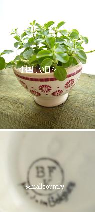 Royal Boch - ロイヤル・ボッホ : 小国での日々 第8章