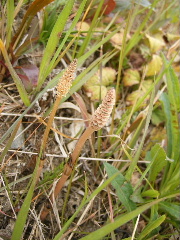 f0043559_11311698.jpg