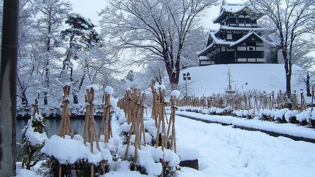 高田公園の雪景色－６_e0065084_1221449.jpg