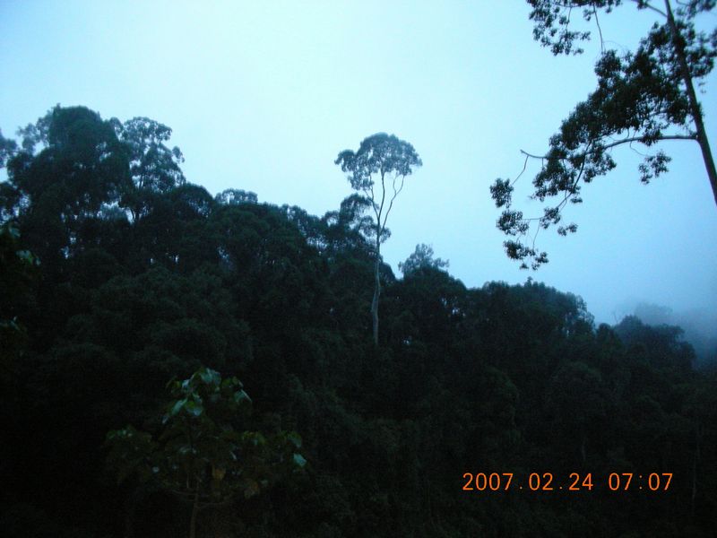 b0108186_21374212.jpg