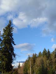 c0103793_713039.jpg