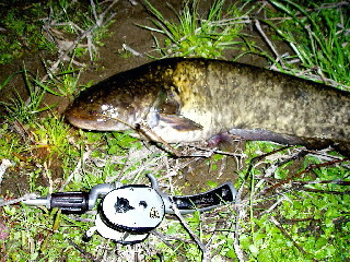 c0023804_12475187.jpg