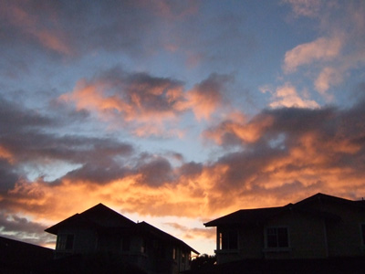 f0054712_831621.jpg