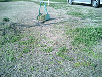 e0100618_16533110.jpg