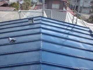 トタン屋根塗装・・・１回目_f0031037_1575010.jpg