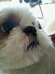 f0067245_1117189.jpg