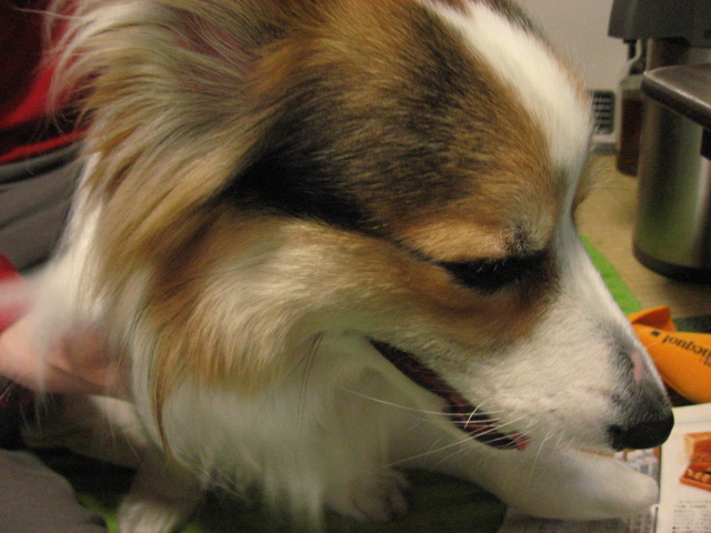 b0097747_12423584.jpg