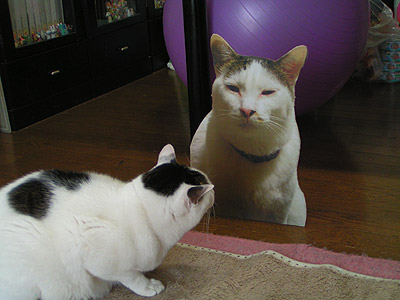 話には続きがあったのだ_a0028451_1552655.jpg