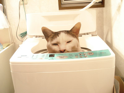 話には続きがあったのだ_a0028451_1581355.jpg