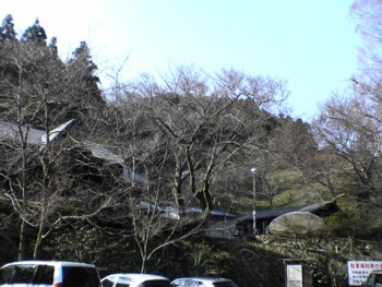 …インフルエンザ?…楽しみのキャンプが…_d0082356_1235225.jpg