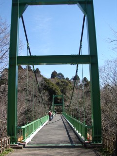のあ699 カワセミはどこ♪(続・泉自然公園)_b0061261_2242374.jpg
