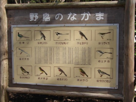 のあ699 カワセミはどこ♪(続・泉自然公園)_b0061261_2244055.jpg