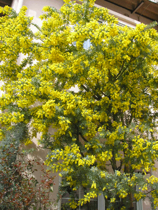 f0016868_10452813.gif