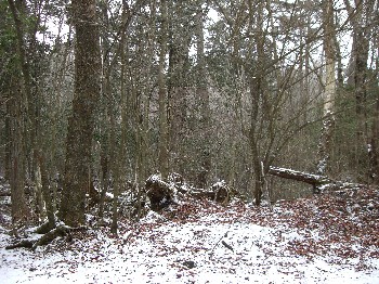 f0125182_17595827.jpg