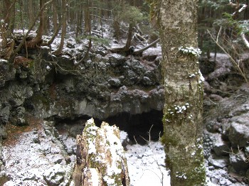 f0125182_1832164.jpg