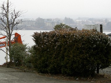 f0125182_9411461.jpg