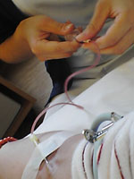 b0043506_1192427.jpg