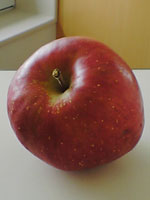 b0043506_2113179.jpg